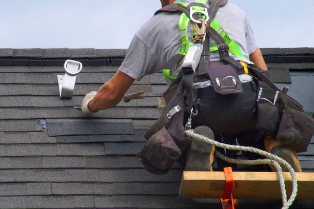 Best Local Roofing Companies  in Munising, MI