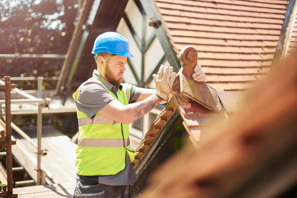Best Local Roofing Companies  in Munising, MI