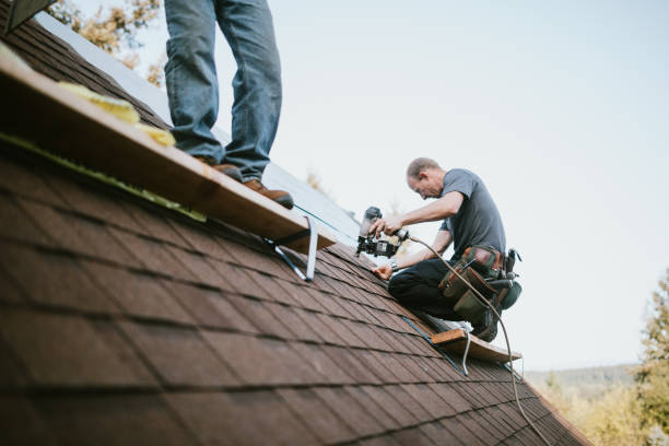 Best Roof Leak Repair  in Munising, MI