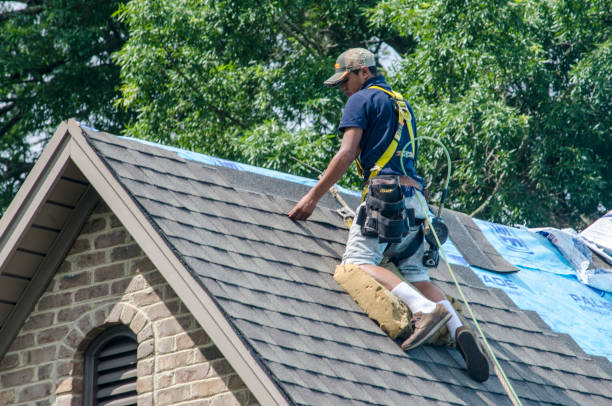 Best Affordable Roof Replacement  in Munising, MI